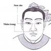 Nhà Thành Phố 24h là thương hiệu thuộc Công ty cổ phần Nguyên Thông Quán
