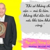 Nhà Thành Phố là thương hiệu thuộc Công ty cổ phần Nguyên Thông Quán