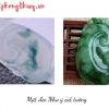 Nhà Thành Phố 24h là thương hiệu thuộc Công ty cổ phần Nguyên Thông Quán