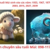 Nhà Thành Phố là thương hiệu thuộc Công ty cổ phần Nguyên Thông Quán