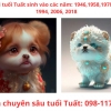 Nhà Thành Phố là thương hiệu thuộc Công ty cổ phần Nguyên Thông Quán