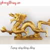 Nhà Thành Phố 24h là thương hiệu thuộc Công ty cổ phần Nguyên Thông Quán