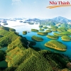 Nhà Thành Phố là thương hiệu thuộc Công ty cổ phần Nguyên Thông Quán