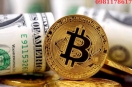 FMC sập sàn: 15.000 người mất trắng, bài học đau đớn cho nhà đầu tư crypto