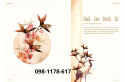 Tha thứ trước khi chết – món quà cho người ở lại và chính mình