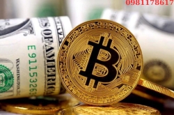 FMC sập sàn: 15.000 người mất trắng, bài học đau đớn cho nhà đầu tư crypto