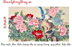 Phân biệt vận mệnh – vận nhà – vận thế trong phong thủy – tránh sai lầm cơ bản