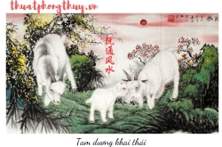 Phong thủy địa táng: quy tắc vàng khi chọn mộ phần – Nguyên Thông Quán