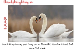 Phân tích trường khí nhà thành phố – nguyên lý phong thủy từ Nguyên Thông Quán