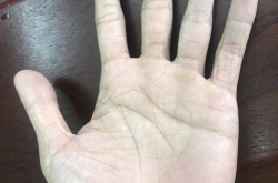 Giải mã tướng tay: luận đoán cát hung, khám phá vận mệnh qua bàn tay cổ học