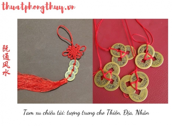 Nhà Thành Phố là thương hiệu thuộc Công ty cổ phần Nguyên Thông Quán