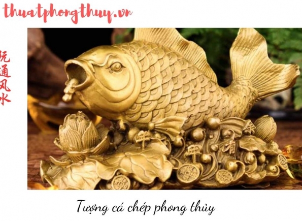 Nhà Thành Phố là thương hiệu thuộc Công ty cổ phần Nguyên Thông Quán